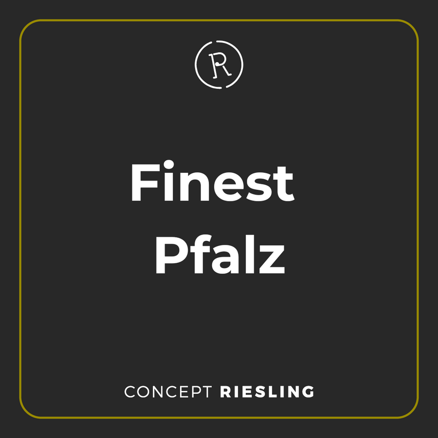 Finest Pfalz Tasting (21. November 2025)