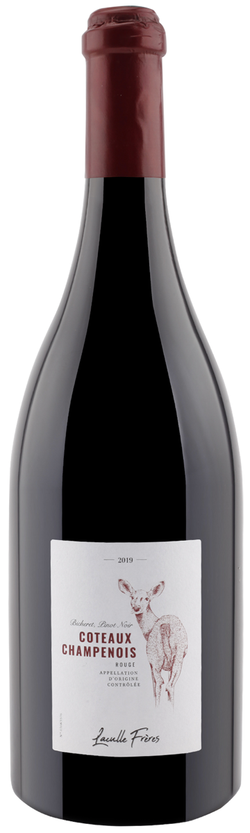 Coteaux Rouge Pinot Noir 2019