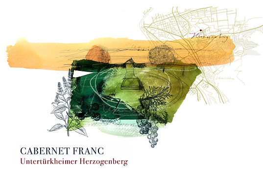 WongAmat Cabernet Franc 2022 Jan Raumland Rheinhessen Rotwein 