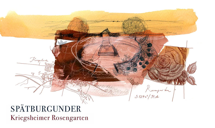 Kriegsheimer Rosengarten Spätburgunder 2022