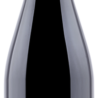 Champagner Bicheret Pinot Noir 2019 brut nature