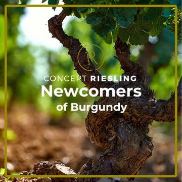 Newcomers of Burgundy Tasting Paket Alain Mathias Jean Fery Ô MA Burgund Weißwein Rotwein Aligoté Chardonnay Pinot Noir Spätburgunder